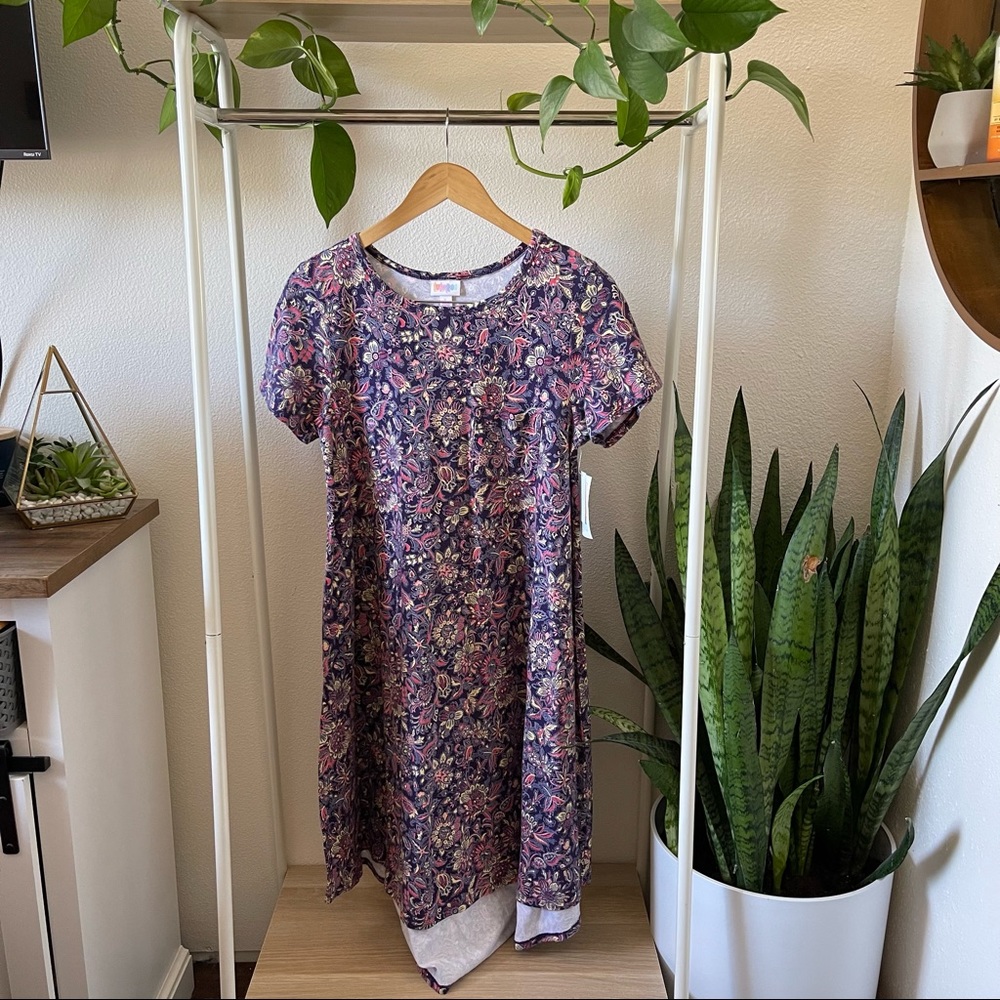 LulaRoe Carly Dress
